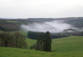 Tåge hviler over grønne bakker og skov nær Les Jardins de l'Ourthe 8-lodge i Belgien, fredelig naturudsigt.