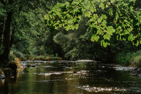 Billede af en fredfyldt flod omgivet af frodige grønne træer ved Les Jardins de l'Ourthe 8 i Belgien.