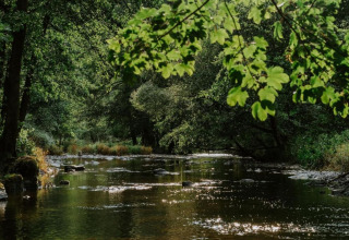 Billede af en fredfyldt flod omgivet af frodige grønne træer ved Les Jardins de l'Ourthe 8 i Belgien.