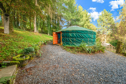Photo of a green yurt with an open orange door at La Pause Insolite, nestled in a lush forest setting.