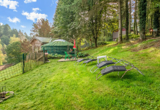 Yurt at La Pause Insolite in Belgium with loungers on a grassy lawn, surrounded by woods and trees.