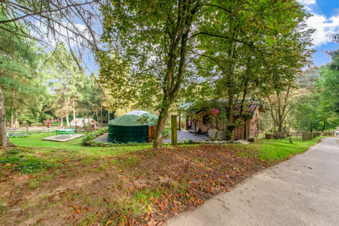 Photo of the yurt 'La Pause Insolite' in Belgium, set among trees, grassy lawn, and outdoor seating areas.