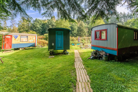 Colorful mobile homes set on a grassy lawn surrounded by trees at Les Roulottes de Vio in Belgium.