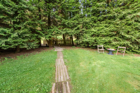 A path leads through a green garden with wooden chairs and table, surrounded by tall fir trees in Belgium.
