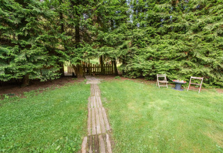 A path leads through a green garden with wooden chairs and table, surrounded by tall fir trees in Belgium.