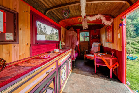 Colorful mobile home interior at Les Roulottes de Vio in Belgium, featuring wood paneling and eclectic decor.
