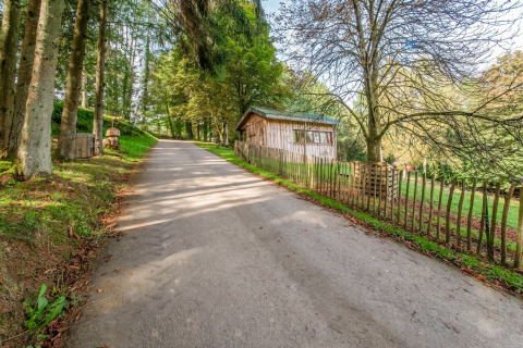 A peaceful woodland lane with a wooden cabin and fence, taken at Les Roulottes de Vio in Belgium.