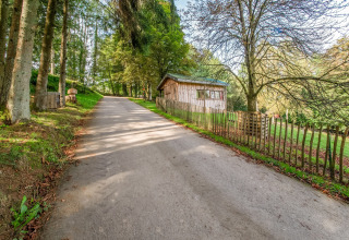 A peaceful woodland lane with a wooden cabin and fence, taken at Les Roulottes de Vio in Belgium.