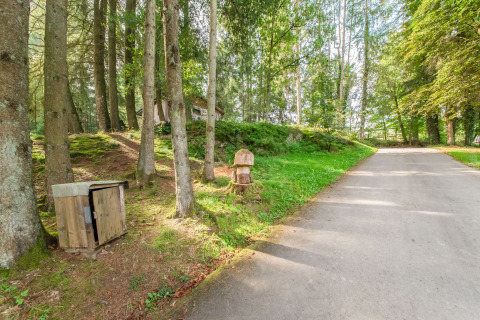 Path near Les Roulottes de Vio mobile home in Belgium, surrounded by tall trees, grass, and dappled sunlight.