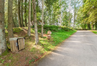 Path near Les Roulottes de Vio mobile home in Belgium, surrounded by tall trees, grass, and dappled sunlight.