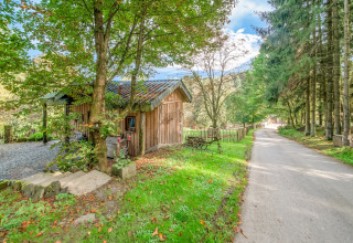 Charming mobile home "Les Roulottes de Vio" in Belgium, next to a peaceful forest lane.