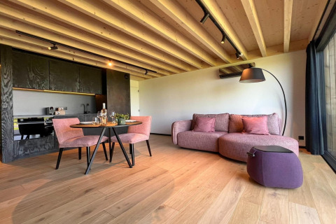 Moderne stue i hytten 'Natural Escape' i Belgien med træloft, lilla sofa og åben køkken.