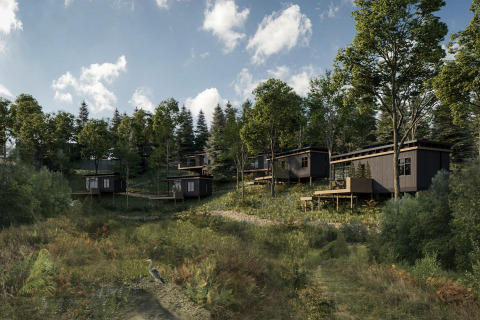 Moderne boshutten bij Hillview Resort Grandvoir 1 in België, te midden van bomen en natuur onder een blauwe lucht.