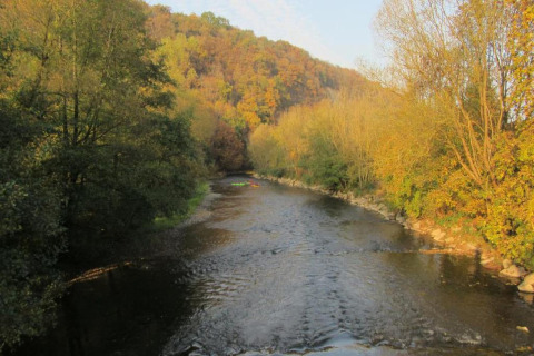 Flod omgivet af efterårstræer og bakker, set fra Natural Escape-hytten i Belgien om eftermiddagen.
