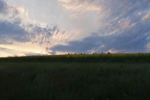 Solnedgang over et grønt landskab set fra Natural Escape-hytten i Belgien, dramatiske skyer i himlen.