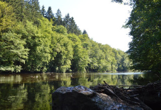 Flod omgivet af tæt skov, set fra kabinen 'Natural Escape' i Belgien, med sollys og naturrefleksioner.