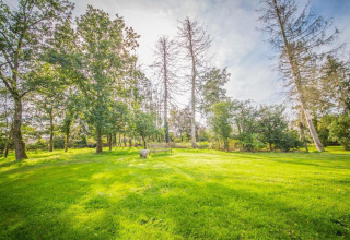 Grøn græsplæne med spredte træer og solskinstemning ved hytten 'Natural Escape' i Belgien.