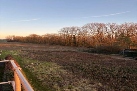 Udsigt fra hytten 'Natural Escape' i Belgien, med marker, grønne områder og træer ved solnedgang.