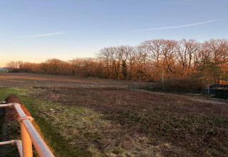Udsigt fra hytten 'Natural Escape' i Belgien, med marker, grønne områder og træer ved solnedgang.