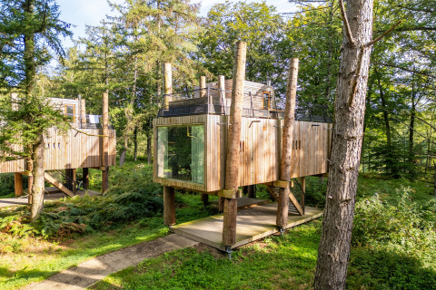 Casa en el árbol moderna llamada The TreeLoft de YourNature, rodeada de bosque verde y luz natural.
