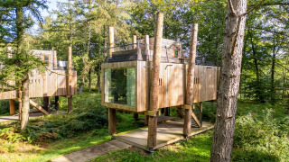 Moderne boomhut genaamd The TreeLoft van YourNature, omgeven door groen bos en zonlicht.