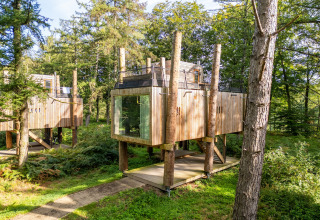 Casa en el árbol moderna llamada The TreeLoft de YourNature, rodeada de bosque verde y luz natural.
