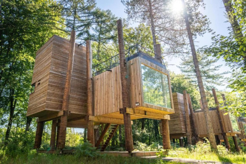 Tree house called The TreeLoft by YourNature, modern wooden design set in a sunny, lush forest area.