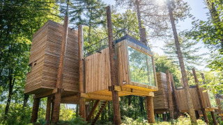 Boomhut genaamd The TreeLoft van YourNature, modern houten ontwerp in een zonnig, groen bosgebied.