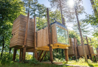 Træhus kaldet The TreeLoft af YourNature, moderne design midt i grønne omgivelser under solskin.