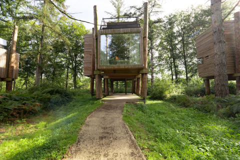 Pathway leading to TreeLoft by YourNature, a modern tree house surrounded by lush forest greenery.