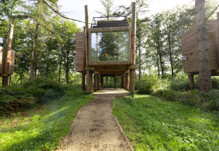 Sti fører til en moderne træhytte, TreeLoft by YourNature, omgivet af frodig skov og grøn natur.