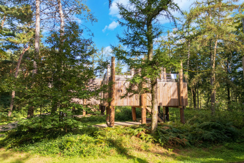 The TreeLoft treehouse by YourNature, nestled among lush green trees in a sunlit forest clearing.