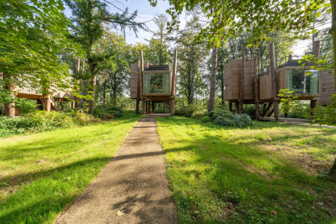 Pathway leading to elevated wooden tree houses, The TreeLoft by YourNature, set in a green forest.