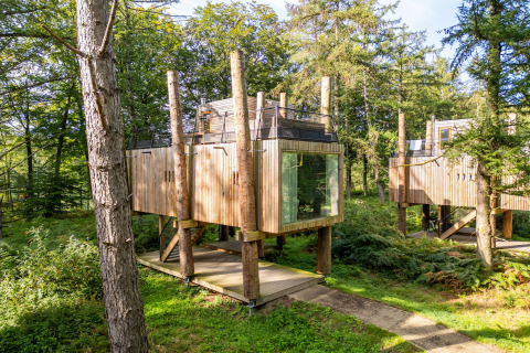 TreeLoft by YourNature: moderna casa sull’albero immersa tra alberi verdi e bosco soleggiato.