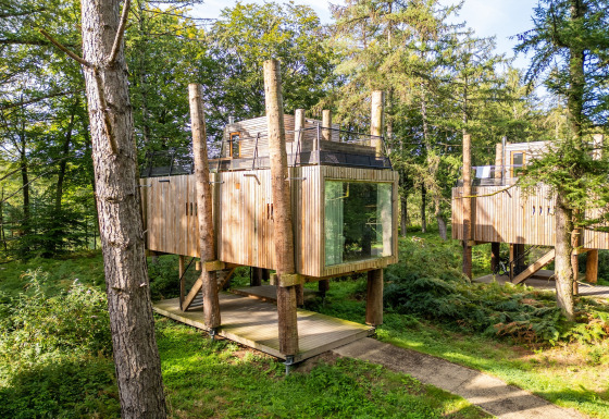 TreeLoft by YourNature: moderna casa sull’albero immersa tra alberi verdi e bosco soleggiato.