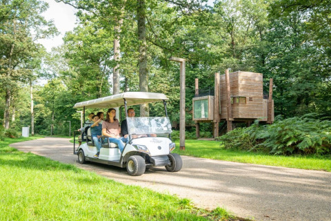 Famiglia su golf cart vicino a TreeLoft by YourNature immersa nel verde e tra alberi alti.
