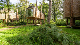 Moderne boomhutten op palen bij The TreeLoft by YourNature, omgeven door groen bos en varens.