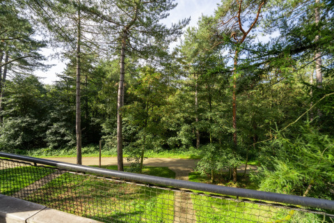 View from The TreeLoft by YourNature overlooking a forest path with tall pine trees and greenery.