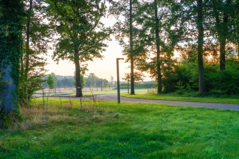 Vista del mattino da The TreeLoft by YourNature in Belgio, con alberi verdi e un sentiero curvo.