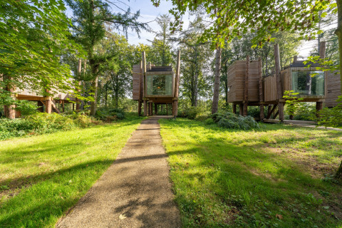 Pfad zu modernen Baumhäusern im Wald, TreeLoft von YourNature, umgeben von grüner Natur und Bäumen.