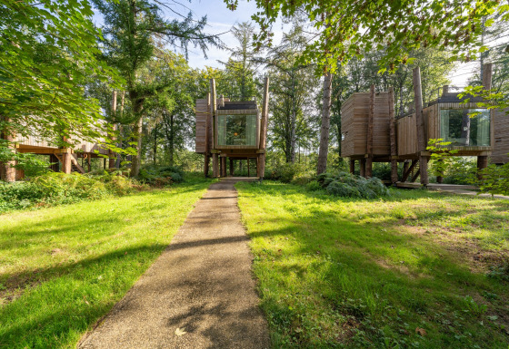 Pfad zu modernen Baumhäusern im Wald, TreeLoft von YourNature, umgeben von grüner Natur und Bäumen.
