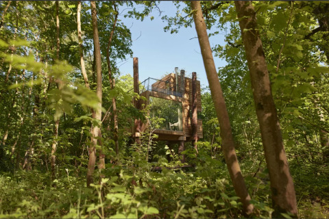 The TreeLoft by YourNature, a modern treehouse surrounded by lush Belgian forest, viewed through trees.