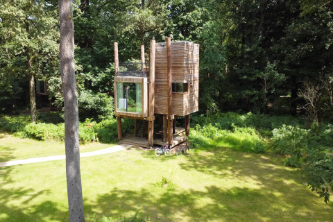 Modern treehouse called The TreeLoft by YourNature, set in a lush forest clearing in Belgium.