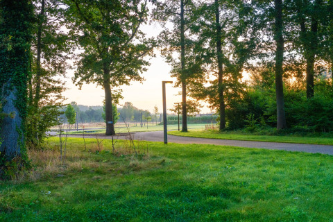 Scenic morning view near The TreeLoft by YourNature in Belgium, with trees, grass, and a curved pathway.