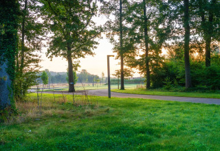 Scenic morning view near The TreeLoft by YourNature in Belgium, with trees, grass, and a curved pathway.