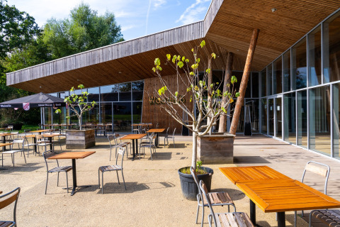 Außenbereich einer Glamping-Unterkunft mit Holztischen, Stühlen, jungen Bäumen und moderner Architektur.