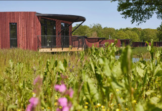 Treehouse by the pond, surrounded by lush vegetation and wildflowers, TreeLoft by YourNature, Belgium.