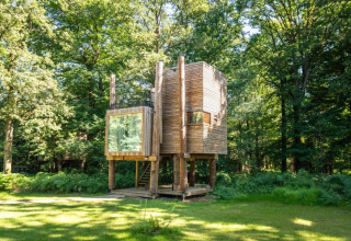 Modernes Baumhaus, The TreeLoft by YourNature, ragt auf Stelzen inmitten eines grünen, dichten Waldes.