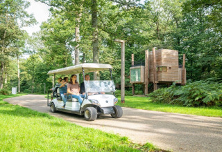 Familie fährt mit Golfwagen am TreeLoft by YourNature Baumhaus im Wald in Belgien vorbei.
