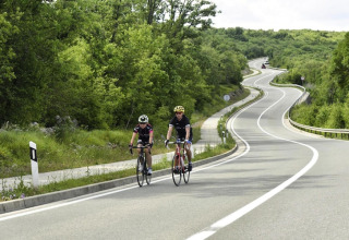 Due ciclisti pedalano su una strada tortuosa circondata dal verde vicino ad Aminess Gaia Green Villas in Croazia.